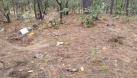Laboratorio clandestino en El Pinal, municipio de Morelos. | Cortesía