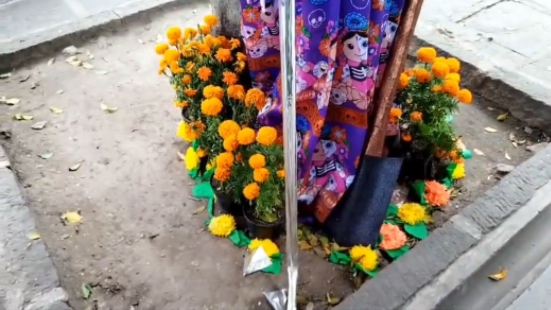 Voz de los Desaparecidos coloca catrina de madre buscadora en el Zócalo de Puebla