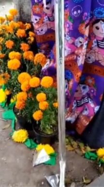 Voz de los Desaparecidos coloca catrina de madre buscadora en el Zócalo de Puebla
