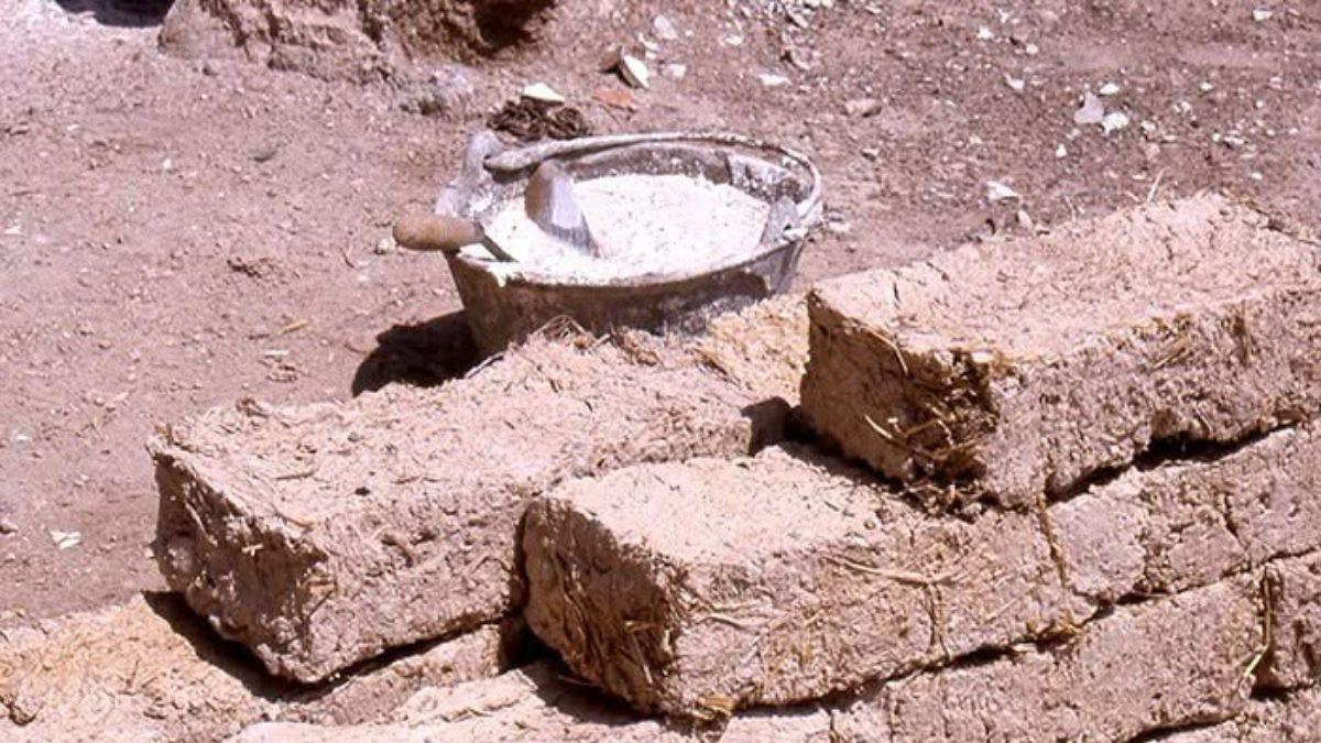 Restos óseos aparecen en tierra comprada por una ladrillera; investigan de dónde salieron