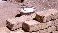 Restos óseos aparecen en tierra comprada por una ladrillera; investigan de dónde salieron