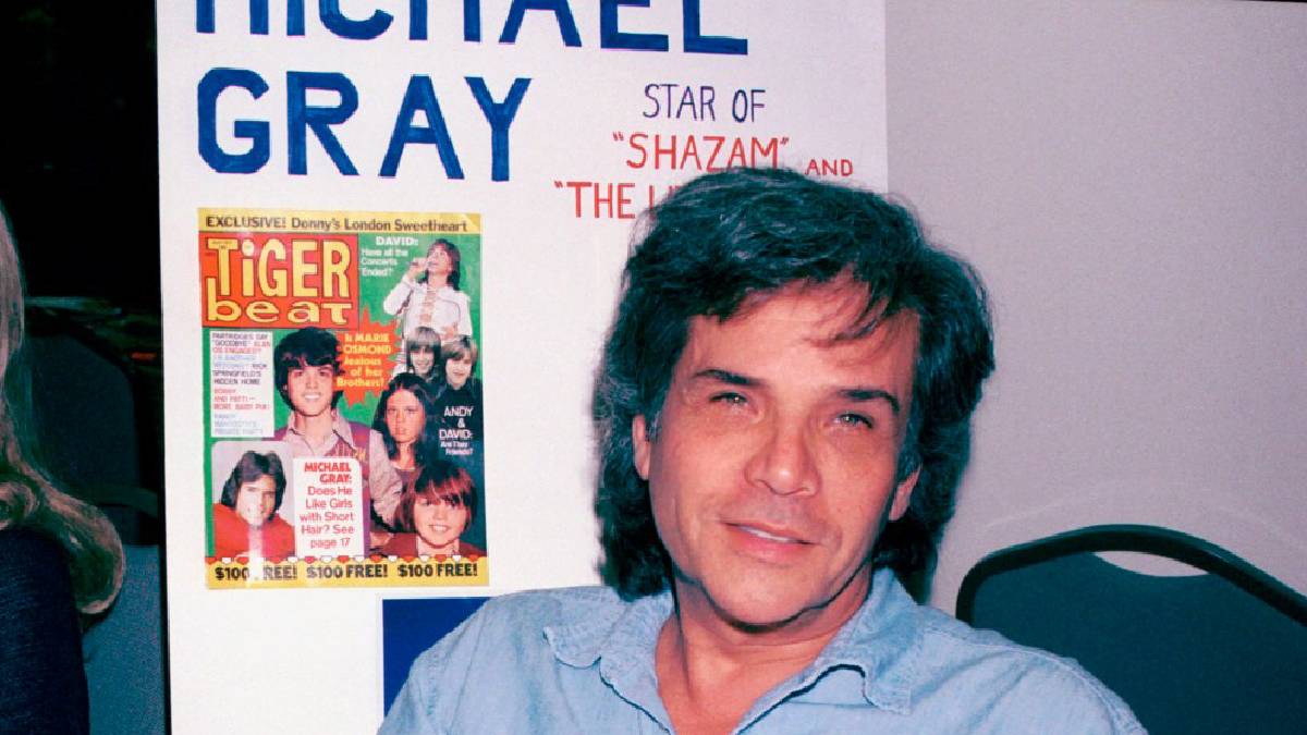 Antes de consagrarse con Shazam!, Gray participó en distintas producciones televisivas.
