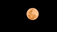 Luna llena dorada de noche.