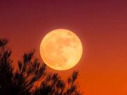 La luna del cazador es un fenómeno que ocurre en el mes de octubre