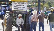 Los trabajadores del campo buscan mejorar el pago de semillas como el maíz. | Foto: Israel Orozco
