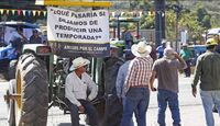Los trabajadores del campo buscan mejorar el pago de semillas como el maíz. | Foto: Israel Orozco