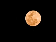 Luna llena dorada de noche.