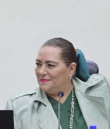 La renuncia de Guadalupe Taddei ocurre durante el inicio del Proceso Electoral Federal 2026-2027.