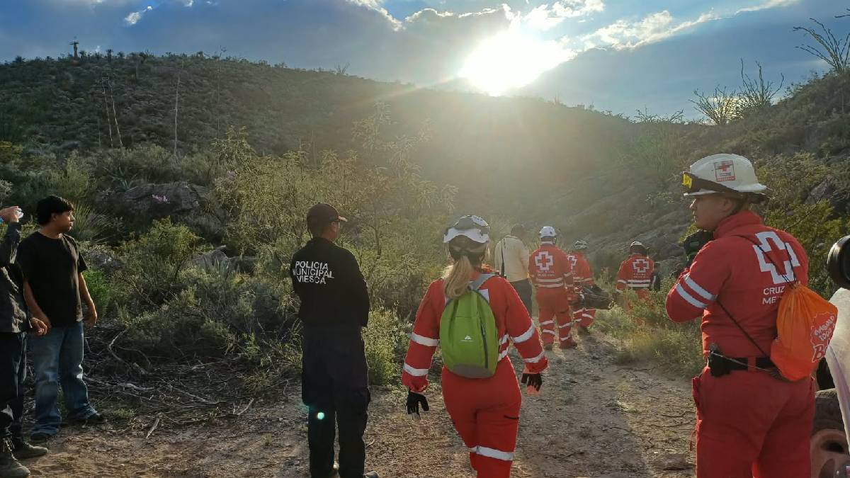 En el lugar, las autoridades atendieron a cinco personas lesionadas por las múltiples picaduras.