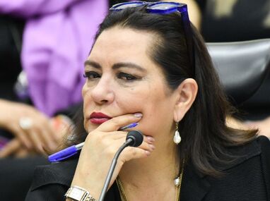 Guadalupe Taddei, consejera presidenta del INE, renuncia a su cargo.