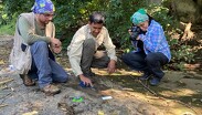 El Instituto Nacional de Antropología e Historia confirmó el descubrimiento de al menos 50 huellas fosilizadas de dinosaurios.
