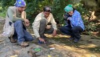 El Instituto Nacional de Antropología e Historia confirmó el descubrimiento de al menos 50 huellas fosilizadas de dinosaurios.