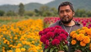Miguel invita a la gente a acudir a sus campos para comprar flores o tomarse fotografías | @ayudameaayudarmx