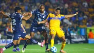 Tigres visitará a Pachuca el próximo 31 de octubre en el Hidalgo.