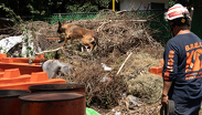 Las unidades de protección civil mexicanas son consideradas entre las mejores del mundo.