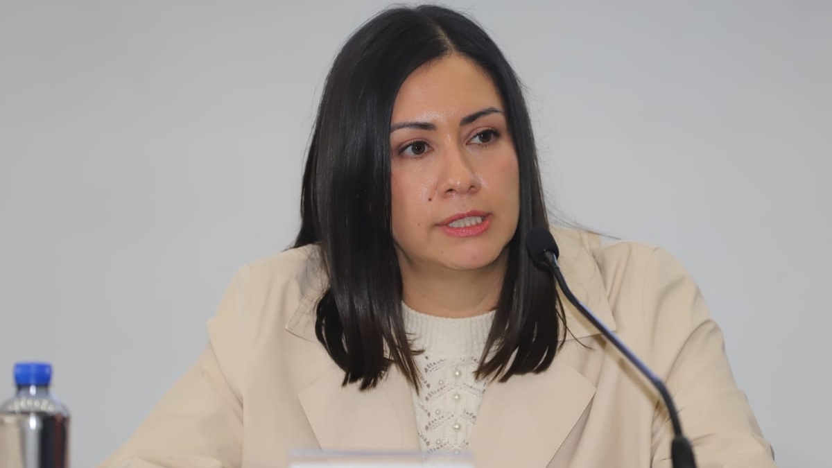 Blanca Cruz, consejera presidenta provisional del INE, en conferencia de prensa.