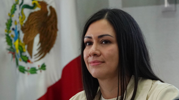Blanca Cruz fue nombrada como presidenta consejera interina del Instituto Nacional Electoral.