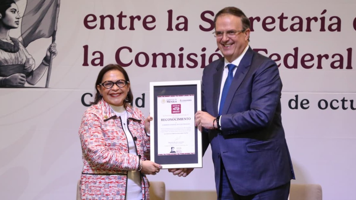 CFE y la Secretaría de Economía anuncian estrategia en recibos de luz para apoyar a un millón de microempresas.