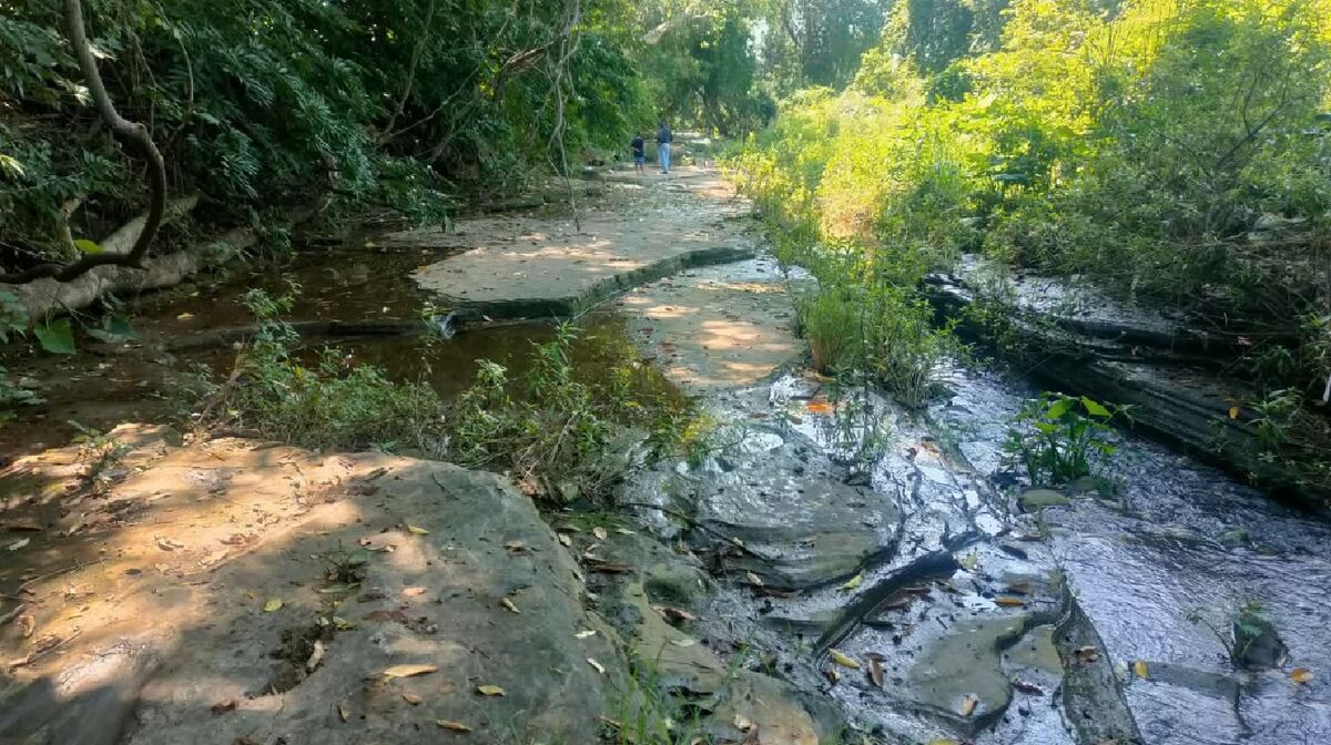 INAH confirmó el hallazgo de las huellas de dinosaurio tras reporte de pobladores. | Fotos: INAH