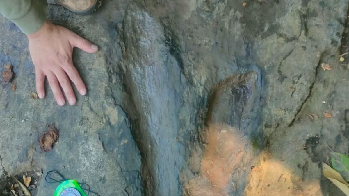 Un joven alertó al INAH sobre huellas de dinosaurios en Michoacán