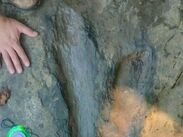 Un joven alertó al INAH sobre huellas de dinosaurios en Michoacán