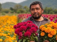 Miguel invita a la gente a acudir a sus campos para comprar flores o tomarse fotografías | @ayudameaayudarmx