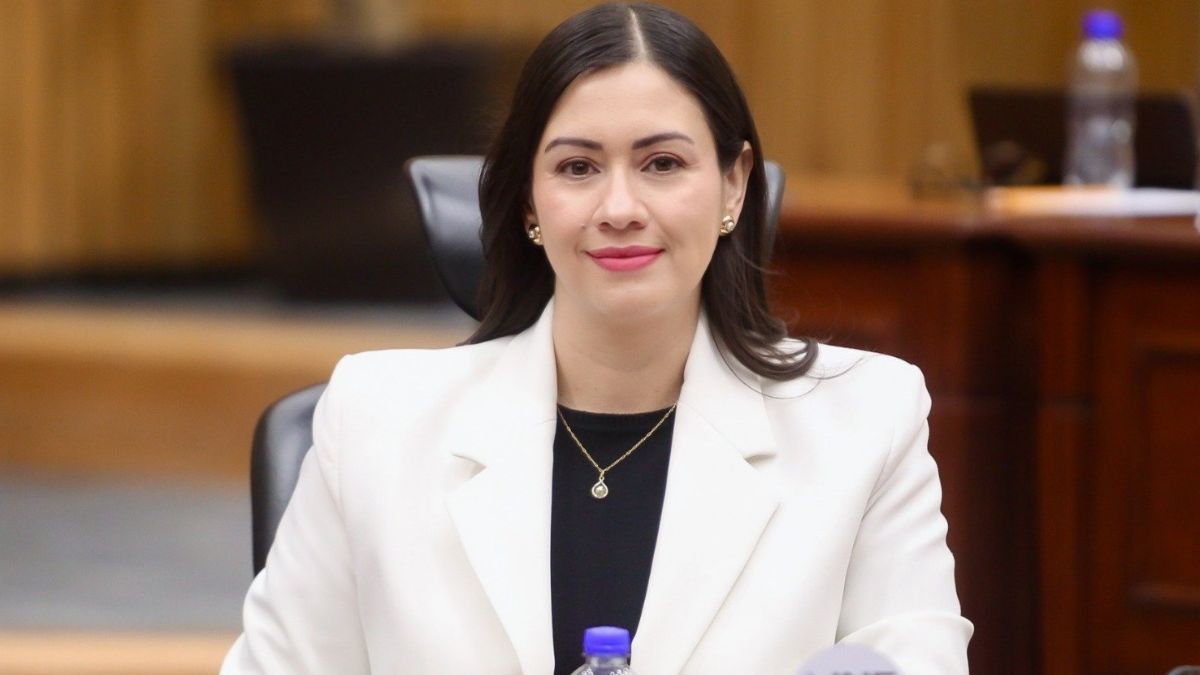 Tras la salida de Taddei, Blanca Yassahara Cruz García ocupará el puesto provisional de la presidencia del INE. | X: @BlancaYCG