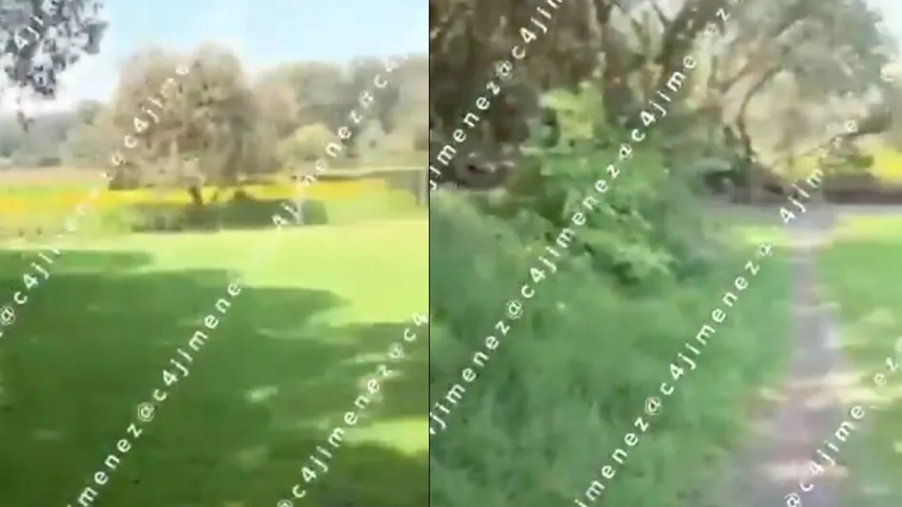 Hallan cuerpo calcinado junto a una cancha de futbol en Tlalpan. TD Express CdMx, 28 de octubre 2026