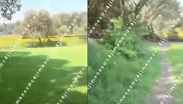 Hallan cuerpo calcinado junto a una cancha de futbol en Tlalpan. TD Express CdMx, 28 de octubre 2026