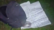 El hallazgo de una cabeza humana circuló durante la mañana de este miércoles mediante grupos de WhatsApp en Coatzacoalcos / Fluvio César Martínez