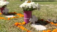 Poblanos recuerdan a sus mascotas en el Día de Muertos