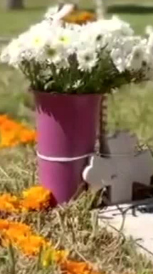 Poblanos recuerdan a sus mascotas en el Día de Muertos