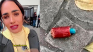 Alessandra Rojo de la Vega entrega pruebas por envenenamiento de perros en Parque España
