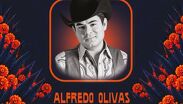 Concierto de Alfredo Olivas en el Festival de Ánimas en Guadalajara. | Alfredo Olivas vía Facebook.