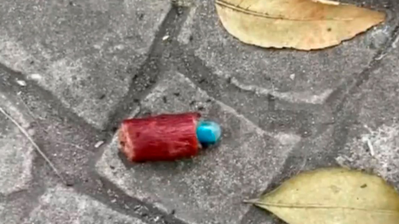 Identifican metomilo en cebos envenenados para perros en Parque España