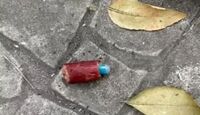 Perros resultan intoxicados tras pasear en Parque España, CdMx; habían pedazos de carne con pastillas azules.